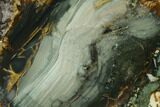 Polished Section of Blue Mountain Jasper - Oregon #150520-1